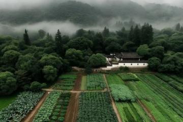 安徽皖南乡村美食探秘:乡野味蕾之旅