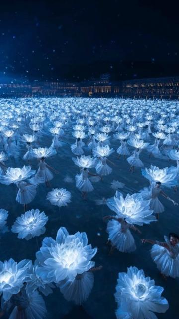 江苏无锡九龙湾花星球：四季花开的花卉休闲胜地