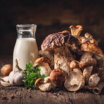 菌类食物安全注意事项
