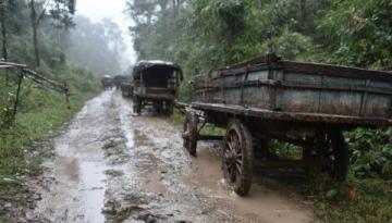 漫悦小巷民宿:体验丛林坦克的乐趣