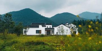汉中市油菜花一日游攻略:梯田湖光山色美景全体验