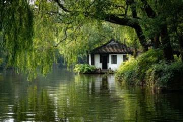 佛山绿岛湖游玩指南:探索城市绿肺与生态秘境