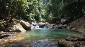 新安江畔三潭枇杷:山水间的甜蜜滋味