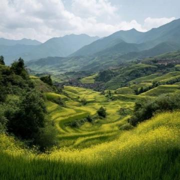 走进春暖花开的闽南美景
