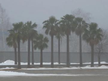 雪终于来了!河南郑州出现大暴雪,河南局地积雪深度超20厘米,前些日子天气预报说