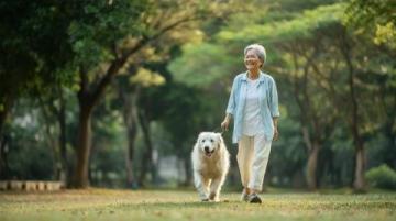 宠物养护专家徐艺桓:狗狗肾脏保健美食推荐