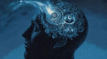 震惊!七大逆天冷知识揭秘,末一条令人瞠目结舌!