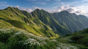 川西秘境:三月春光中,绝美花海引领颜值巅峰