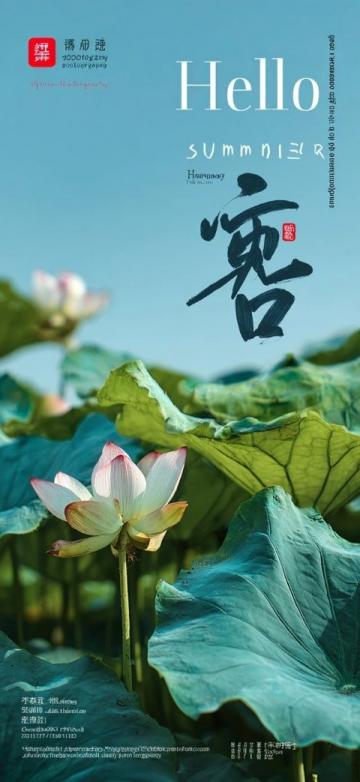 海南儋州旅游攻略:从龙门激浪到海花岛全体验