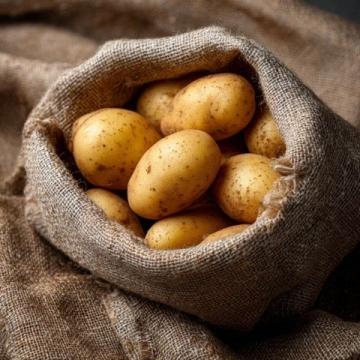 马铃薯：全球重要粮食作物的多彩面貌