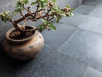 探索日照莒国古城:一份实用旅游指南