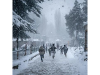 雪终于来了！河南郑州出现大暴雪，河南局地积雪深度超20厘米,前些日子天气预报说