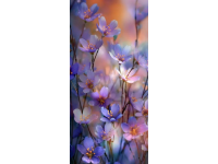 展示手机里的自然之美：花卉与绿植相册