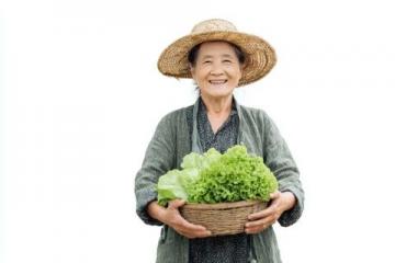 滕州本地人常去的八大菜市场推荐
