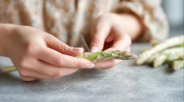 春天的味道与营养:四种适合孩子的春芽美食