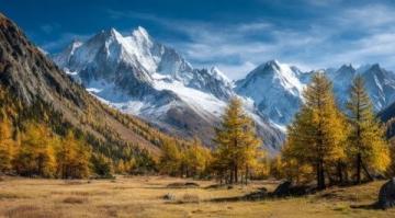 2024年阿勒泰秋季之旅：喀纳斯至禾木的精彩探索与日出之约