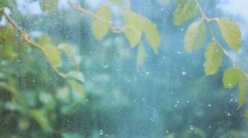 小雨再次淅沥落下
