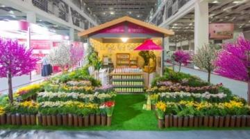 上海爬宠展门票40元,近距离接触神奇小动物体验独特乐趣