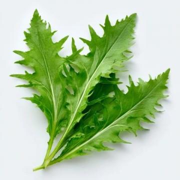 三伏天给孩子吃这四样绿叶蔬菜,肠胃舒畅过夏天