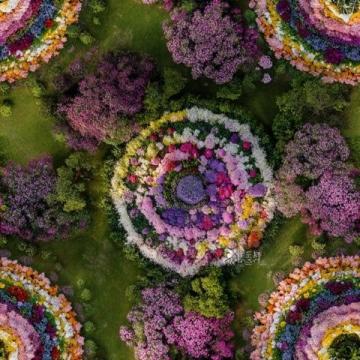 厦门春游攻略：赏花、文化探索与潮流体验，一网打尽！
