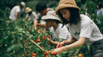 夏日限定:探寻汕头传统小吃——自制录音豆花的风味之旅