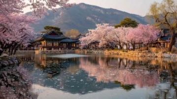 五天假期旅游全攻略:北国春光、都市潮流与文化探索之旅