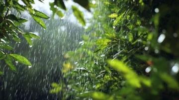 雨季安全小知识(雨季安全小知识,你知道多少?)