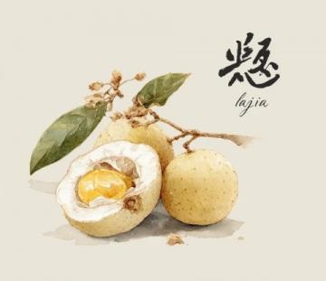 中山-南头荔枝柴烧鹅