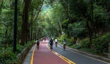 上海大宁公园:夏日甜蜜水果与宁静美景