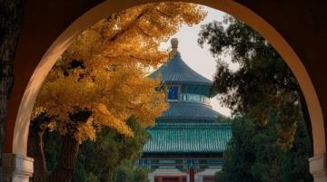 探寻古都魅力,洛阳三日深度游