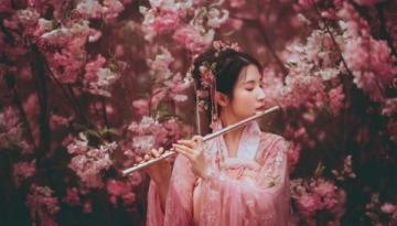 春日武汉赏樱必读!四款诗意文案带你领略粉嫩花海的浪漫之旅