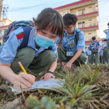 巴州区兴文小学校园农场种蔬菜,校门口摆摊搞义卖
