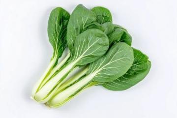春天的味道与营养:四种适合孩子的春芽美食