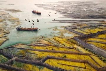 2024春季长三角五大秘境大揭秘：摄影师沸腾打卡胜地