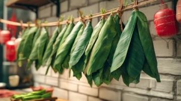 如何用小苏打焯煮苎麻叶?这种方法比石灰更安全有效