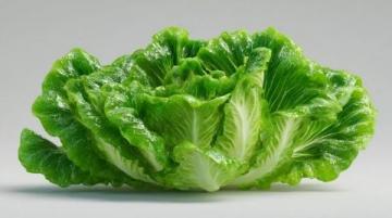 三伏天给孩子吃这四样绿叶蔬菜,肠胃舒畅过夏天