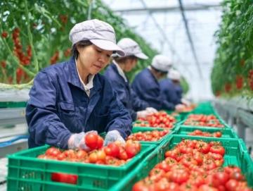 滕州本地人常去的八大菜市场推荐