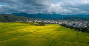 阳春市大草原美景如画,不容错过