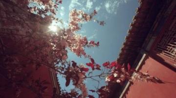 春游梧州记（下集）