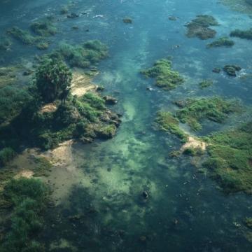 探寻文昌东郊椰林的神秘海域