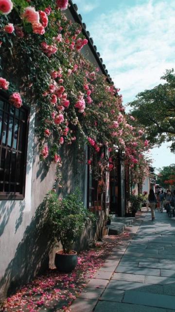 大理深度美食游：段公子、风花雪月鱼，品味一整年难忘美景与佳肴