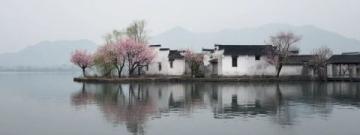 逃离都市喧嚣:探寻杭州西溪湿地里的隐世桃源——十里芳菲度假村