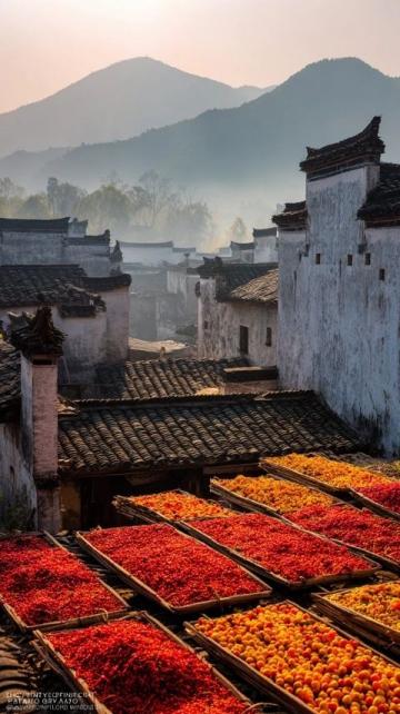长沙网红美食天堂：探访世外桃源般的湘江边·老渔村
