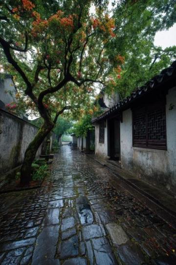 探寻江南水乡：绍兴——今年我最钟情的旅行目的地