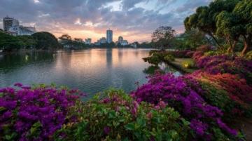 佛山绿岛湖游玩指南:探索城市绿肺与生态秘境