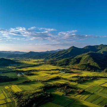 阳春市大草原美景如画,不容错过