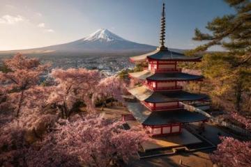 去日本六次后的深度避坑宝典和行程规划