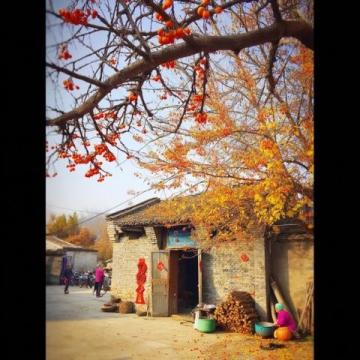 安吉必打卡!水上风暴过后住进这家民宿,老板热情服务超贴心