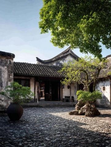 金泽古镇：一道江南水乡的文化风采