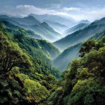 贵州荔波被誉为地球上的绿宝石(荔波,位于贵州省南部)